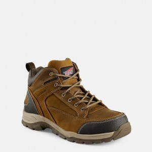 Red Wing 5-inch Safety Toe Hiker Boot | AKF406782