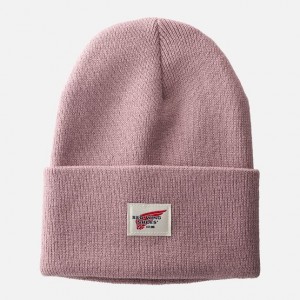 Red Wing Cuffed Beanie Hat in Pale Rose | HQN875396