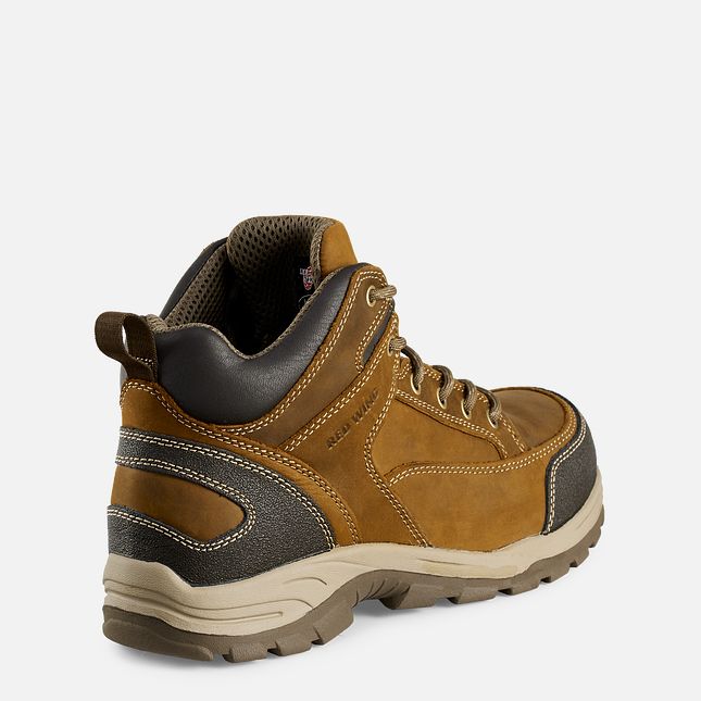 Red Wing 5-inch Safety Toe Hiker Boot | AKF406782