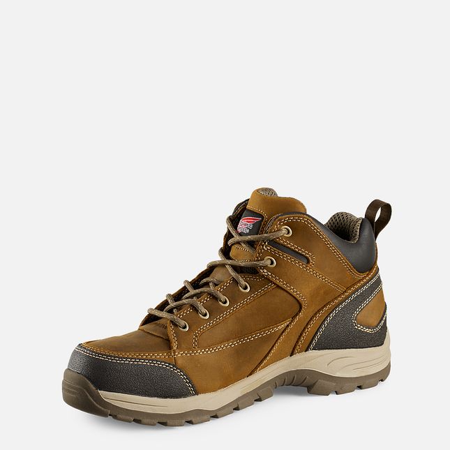 Red Wing 5-inch Safety Toe Hiker Boot | AKF406782