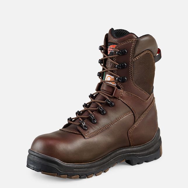 Red Wing 8-inch Insulated, Waterproof CSA Safety Toe Boot Black-Brown | NEL569210