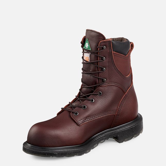 Red Wing 8-inch Insulated, Waterproof CSA Safety Toe Boot | FZY649713