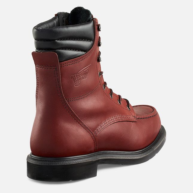 Red Wing 8-inch Soft Toe Boot | FDZ812506