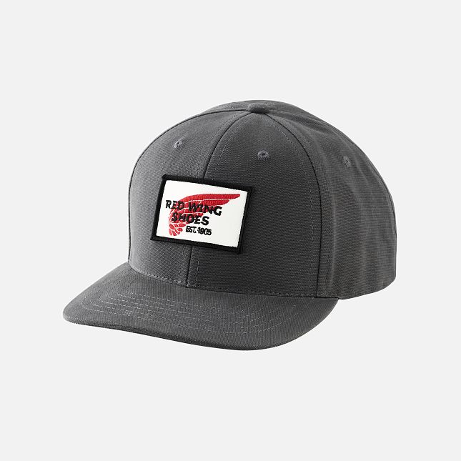 Red Wing Embroidered Logo Ball Cap in Gray | YPN840632